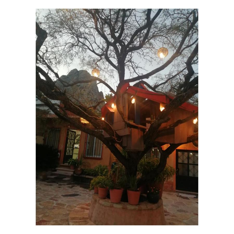 Hotel Casa Del Arbol Bernal Exteriör bild