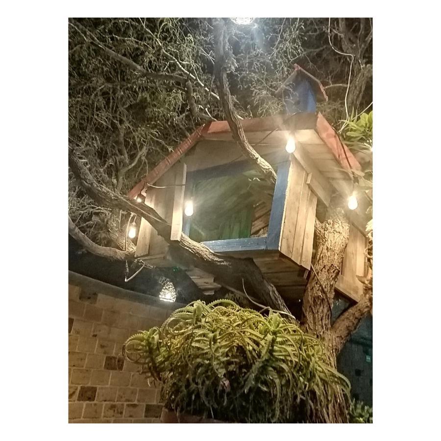 Hotel Casa Del Arbol Bernal Exteriör bild